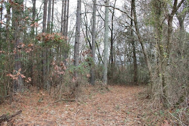 1790 Miller Point Rd S, Quitman, AR 72131 - photo 3