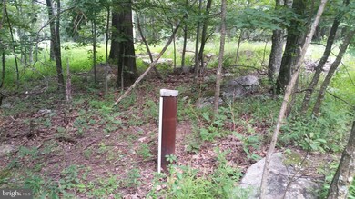 0 Gamble Ln unit 1002243754, Great Cacapon, WV 25422 - photo 6