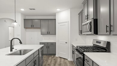 15. 1258 Falls Rush - Kitchen (3)