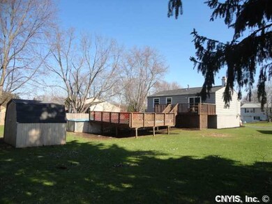 Yard/Garden