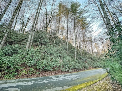 D17 Caroline Ln, Pisgah Forest, NC 28768 - photo 6