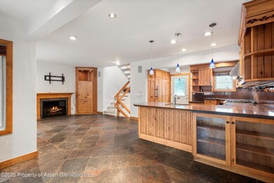 814 W Bleeker St unit E5, Aspen, CO 81611 - photo 2
