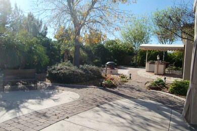 backyard1
