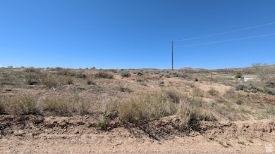 1804 Goose Ranch Rd, Vernal, UT 84078 - photo 5