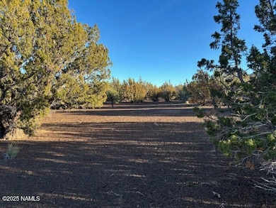 Land Photo 4