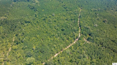 0 Guyton Swamp Rd, Calhoun, LA 71225 - photo 4