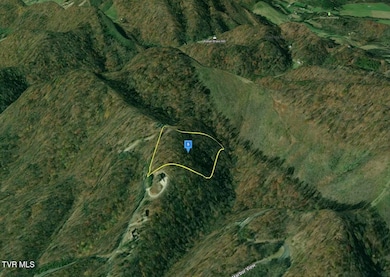 9098 Paradise View Dr, Mooresburg, TN 37811 - photo 2