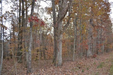 15 Acres N Carolina Highway 704 E, Sandy Ridge, NC 27046 - photo 7