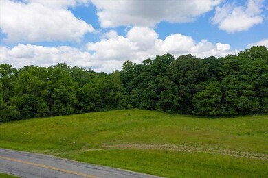 06-DJI_0136
