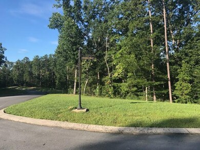 Lot 16-22 Wexford Place, Cohutta, GA 30710 - photo 6