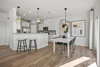 REPRESENTATIVE PHOTO