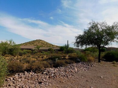 LOT 44-LOOKING-SOUTH