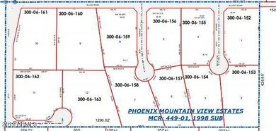 phx mtn view plat map