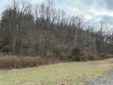 1 Polecat Hollow Rd, Waynsbrg/Frankln Township, PA 15370 - photo 5