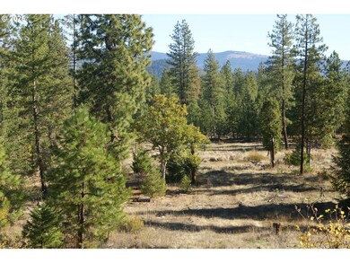 8 Ginger Way, Goldendale, WA 98620 - photo 7