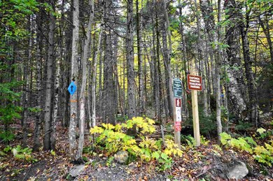 218 W Lake Rd unit 2, Wilmington, VT 05363 - photo 6