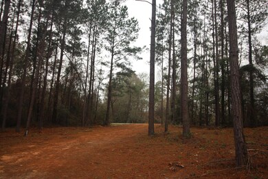 0 Hines Rd, Laurel, MS 39443 - photo 2