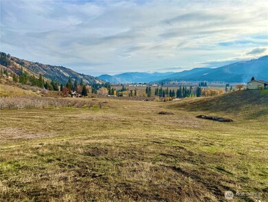 8480 Larson Rd, Peshastin, WA 98847 - photo 6