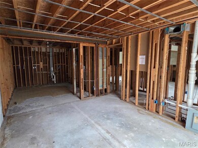 7617 Triwoods Dr unit D, Saint Louis, MO 63119 - photo 4