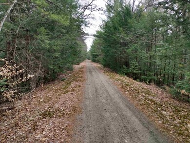 0 Off Rails To Trails Trail unit 12 4801015, Fitzwilliam, NH 03447 - photo 2