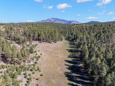 27.5 Acres Jemez Mountain Forest Rd 10, Jemez Springs, NM 87025 - photo 4
