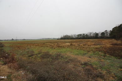 000 Green Path Rd, Dunn, NC 28334 - photo 6