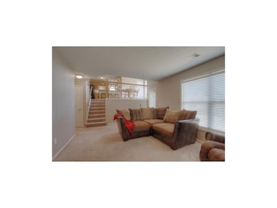 Lower Level Family Room