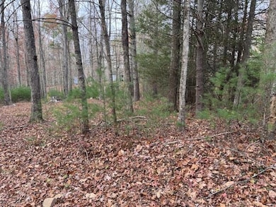 Lot 66 Sec Underwood Ln, Gap Mills, WV 24941 - photo 3