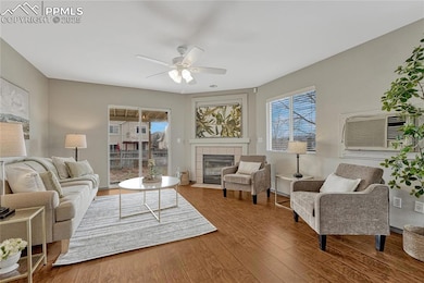 5615 Marabou Way, Colorado Springs, CO 80911 - photo 5