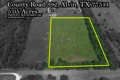 0 County Road 392, Alvin, TX 77511 - photo 7
