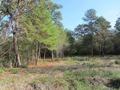 lot view
