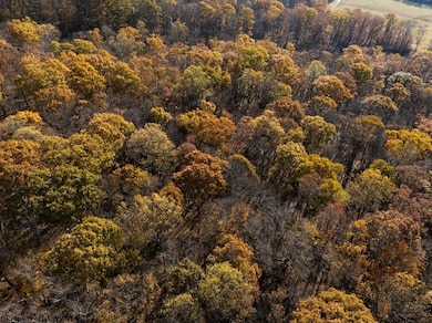 TBD N Preston Hwy, Bruceton Mills, WV 26525 - photo 6