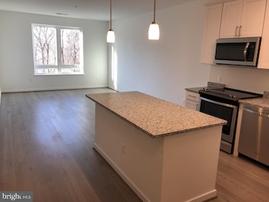 Enclave unit 305, Fairfax, VA 22031 - photo 5