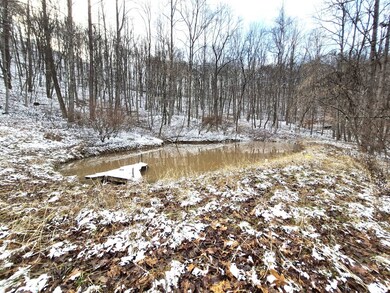 3085 Sycamore Run Rd, Glenville, WV 26351 - photo 6