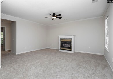 10 Baltusrol Ct, Columbia, SC 29223 - photo 5