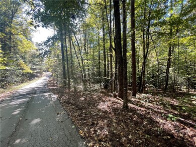 527-533 the Bear Blvd, Tamassee, SC 29686 - photo 3