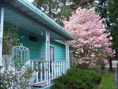 923 Pine Dr, Enumclaw, WA 98022 - photo 4