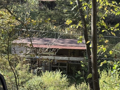 63 Wonder Dr, Big Chimney, WV 25302 - photo 4