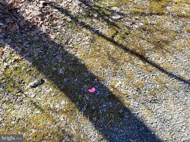 0 Bear Creek Rd unit PASK130084, Schuylkill Haven, PA 17972 - photo 2