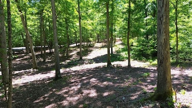 8121 Lick Creek Rd, Big Sandy, TN 38221 - photo 2