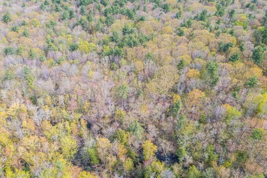 00 Leavitt Ln, Strafford, NH 03884 - photo 5