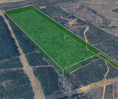 0 Nesbitt Cutoff, Marshall, TX 75670 - photo 5