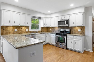 587 Bovidae Cir, Naperville, IL 60565 - photo 3