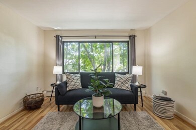 9 Ryder St unit 11, Arlington, MA 02476 - photo 3