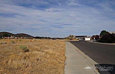 0 Marielle Way Parcel 2, Rosamond, CA 93560 - photo 4