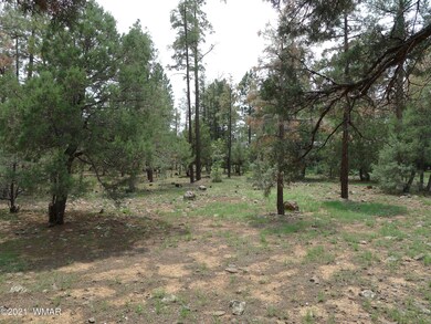 4940 S 32nd St, Show Low, AZ 85901 - photo 4