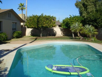 Pool and Grass back yard