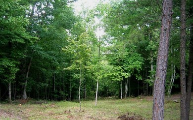 Additional View