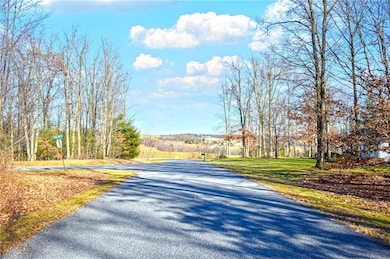 0 E Hyland Dr unit 684701, West Penn Township, PA 17960 - photo 7