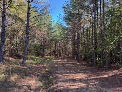 0 Walnut Grove Rd, Bolivar, TN 38008 - photo 5